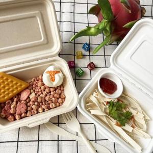 Wholesale 600ml Lunch Biodegradable Bagasse Tableware Disposable Takeaway Containers from china suppliers