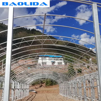 Large Steel Frame Double Arch 4.5m Multi Span Greenhouse 0