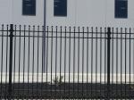Residential Wrought Iron Steel Tubular Fencing Rustproof