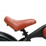 48V750W Bafang Motor Electric Bike DOMANCA Customized Fat Tire Electric