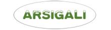 China Foshan Arsigali Trading Co., Ltd logo