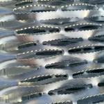 20*3 Steel Flat Size Serrated Steel Grating For Industrial 25mm Bearing Bar