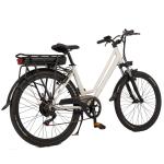 Aluminum Alloy Fork 48V 750W Bafang Motor Electric Bike for Women's Urban