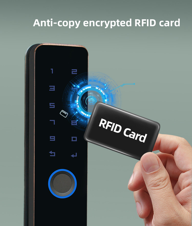 Bluetooth Control Wireless Door Lock DC 6V Electronic Front Door Lock