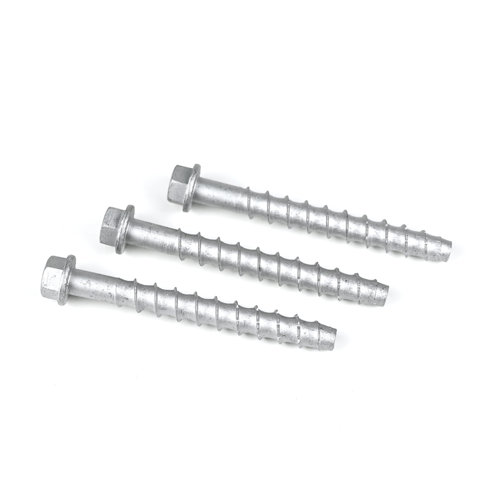 Standard According to Customers Needs M10 100mm Screw Anchor for Street Billboard