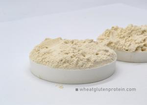Wholesale Healthy Natural Vital Wheat Gluten Powder For Bread ISO / HACCP Certification from china suppliers