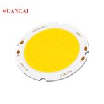 30w Led Cob Bulb Chip