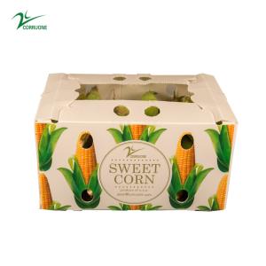 Wholesale 1.5mm-30mm PP Corrugated Plastic Packaging Boxes White Green Blue from china suppliers