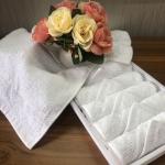 Airplane 30x30cm Disposable Cotton Towels