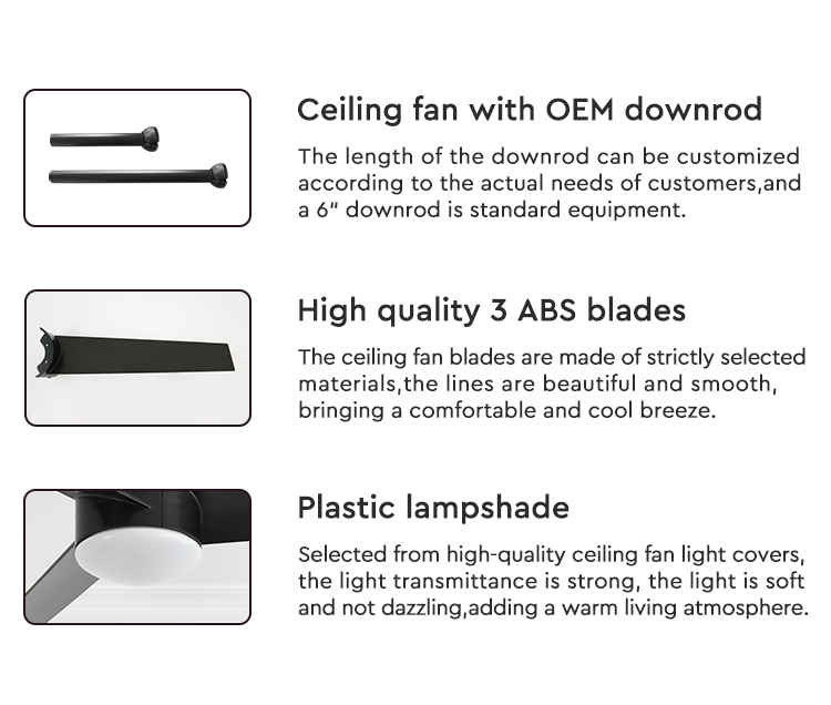 ceiling fan