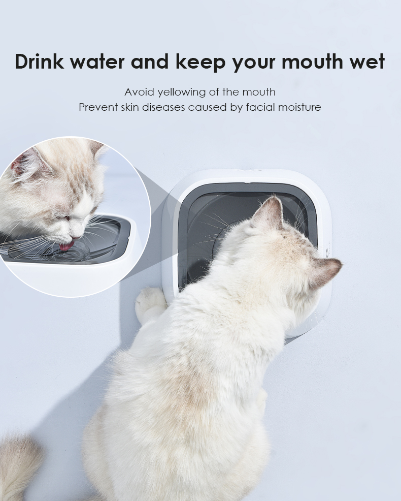 Hair Bowl Floating Water Dog Cat Bowl Plastic Splash-proof Wet Mouth for Other Pets