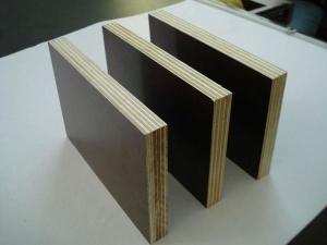 Wholesale Film Faced Plywood with 14mm 15mm 18mm and 21mm, phenolic shuttering plywood from china suppliers