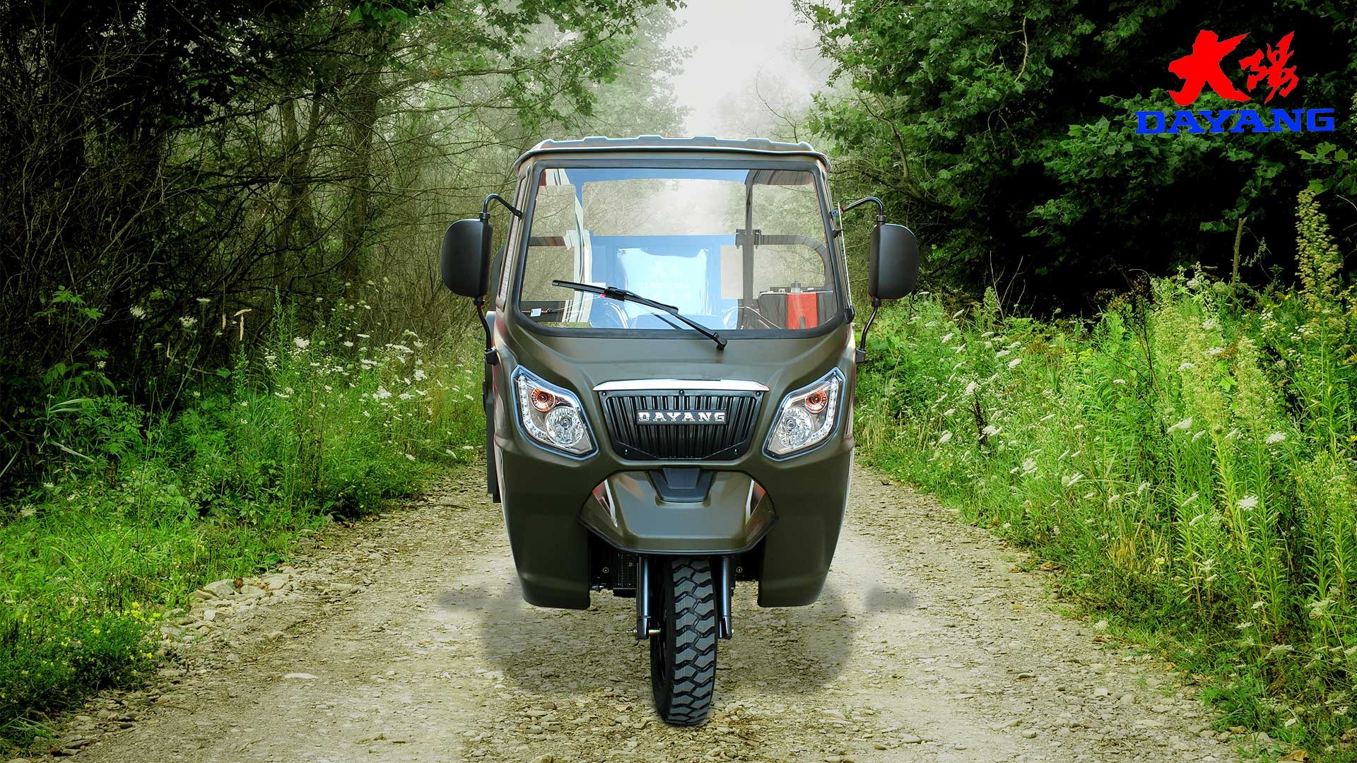 Cargo tricycle with 200/250/300cc engine in Sri Lanka and Hong Kong at competitive