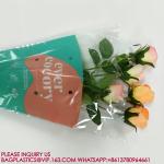 biodegradable Trapezoid Cellophane Vegetable Bags Customize Logo Lettuce