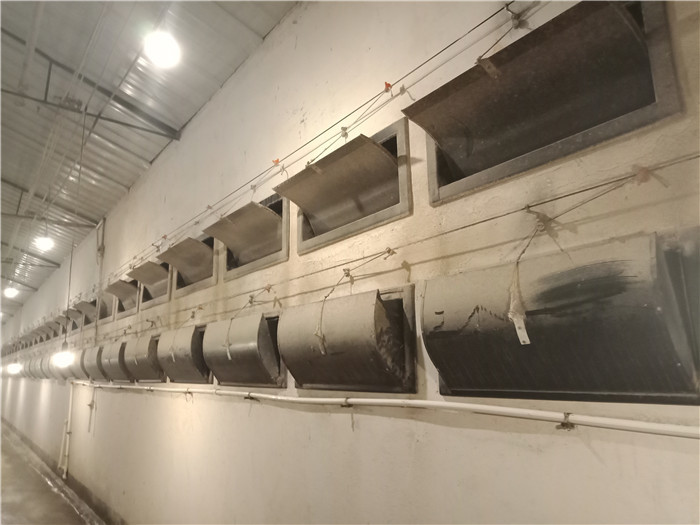Hot Dipped Galvanized 24 Cells Farm Rabbit Cage With Automatic Cleaning System