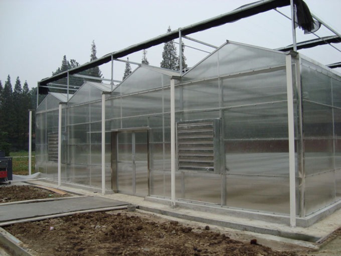 Commercial Agricultural Greenhouse with Hydroponic System and 8mm PC Sheet Covering