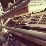 Wanyou High Quality Low Cost Small Waste Paper Pulp Egg Tray Machine