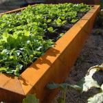 Anti Corrosion 1.6mm Corten Steel Border Edging Rusty Metal Landscape Edging