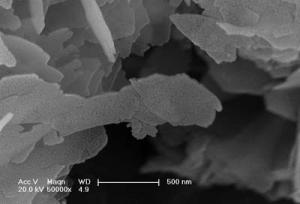 Wholesale 30;100nm Hydroxyapatite from china suppliers
