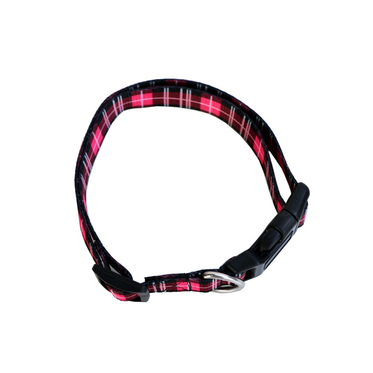 Metal Buckle Seatbelt Pet Collars Leashes 2.5CM Width OEM For Dog