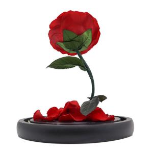 Wholesale Customized Color Preserved Rose Glass Dome Beauty And The Beast from china suppliers