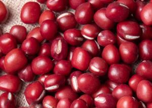 Wholesale Rich Protein Natural Agricultural Products New Crop Common Small Red Beans from china suppliers