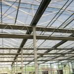 Large Agricultural Intelligent Holland Greenhouse Glass for Tomatoes Cucumber