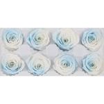 Beautiful Colorful Preserved Rose Heads Elegant For Home Decoration