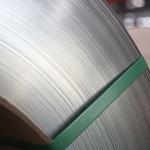 304 316L 0.3-1.0mm Thickness Hot Cold Rolled Stainless Steel Coil Price