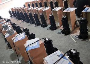 Wholesale Rain Dirty Water Submersible Sewage Pump 7.5kw 10hp Copper Wire Motor from china suppliers