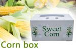 OEM Broccoli Fruit Corrugated Boxes Corrugated Plastic Delivery Box