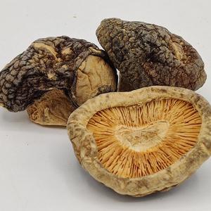 Wholesale Daily Meals Brown Dried Shiitake Mushrooms Stored In Dry Place from china suppliers