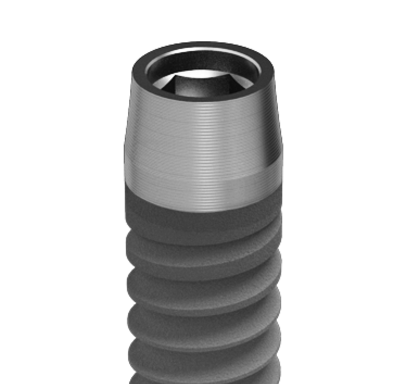 SWEDEN&MARTINA® KOHNO 3.3 / PRAMA 3.3 3.8 4.25 5.0 / Premium 3.3 Titanium Premill Blank 10mm Engaging Arum / Dess