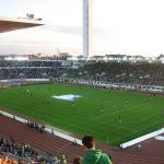 Synthetic Artificial Grass Soccer Field / Green Fake Artificial Grass Carpet