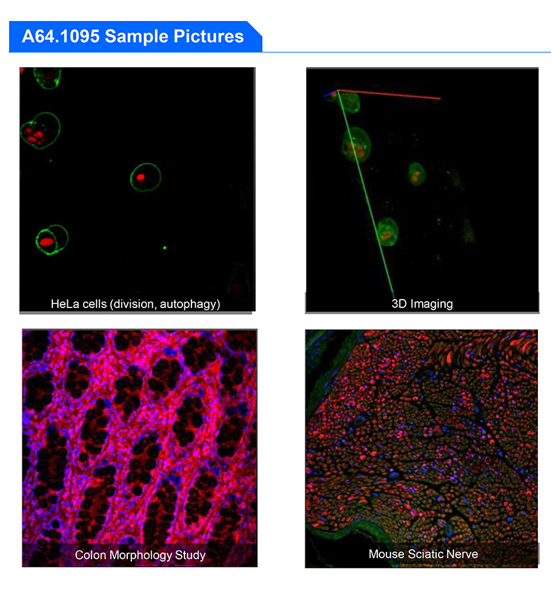 A64.1095 Opto Edu Laser Confocal Microscope Full Auto Motorized