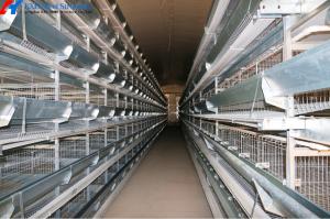 Wholesale 4 Tiers Poultry Battery Cages Customized Automated Poultry Cages For Pakistan Farm from china suppliers