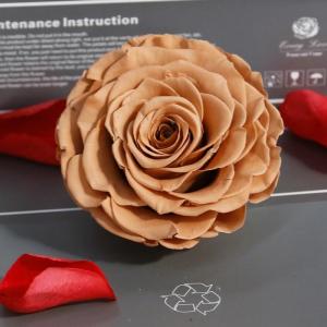 Wholesale Wholesale Preserved Fresh Dried Flowers Dark Blue Roses for Arrangement from china suppliers