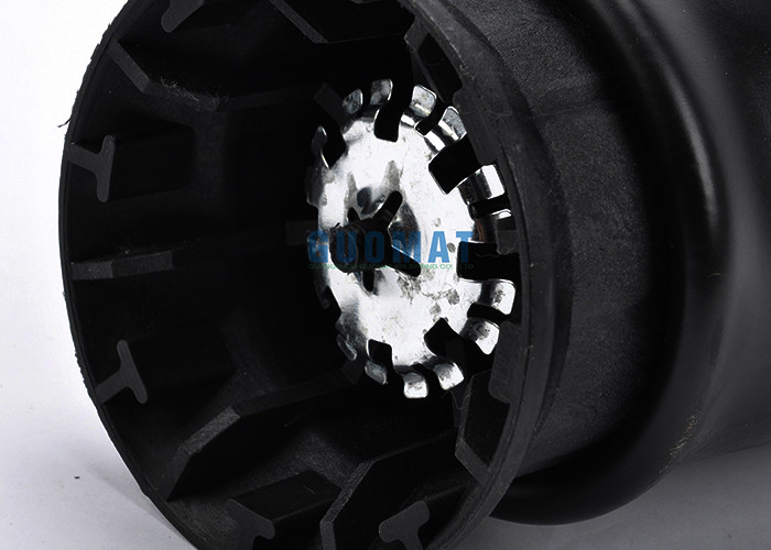 Rear Air Bellow Suspension Phoenix 144363-2 Lincoln Navigator F75Z5A891AC Compatible With Ford