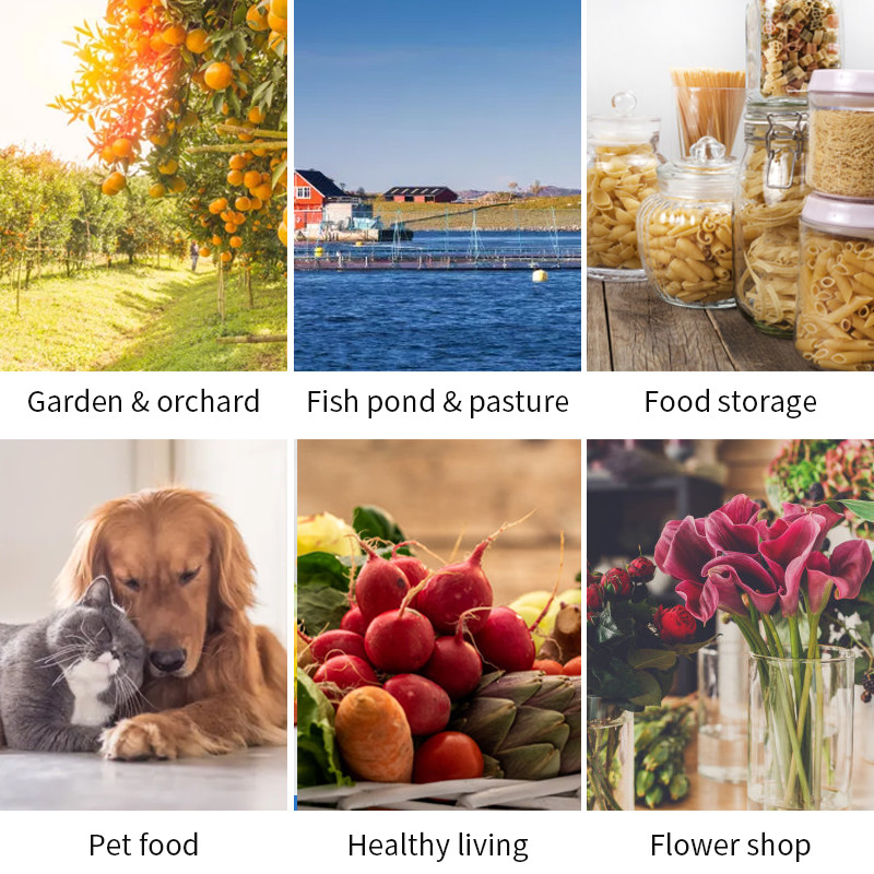 Vacuum Freezer Machine Home Freeze Dryers Drying Food Equipment With Oil Mist Filter