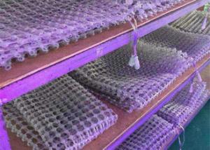 Wholesale Waterproof DC5V Led Grid Display For Glass Window Building from china suppliers