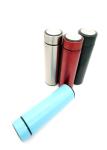 Small Capacity 500ML Thermos Bottle Red Green Various Colors With Cute Pattern
