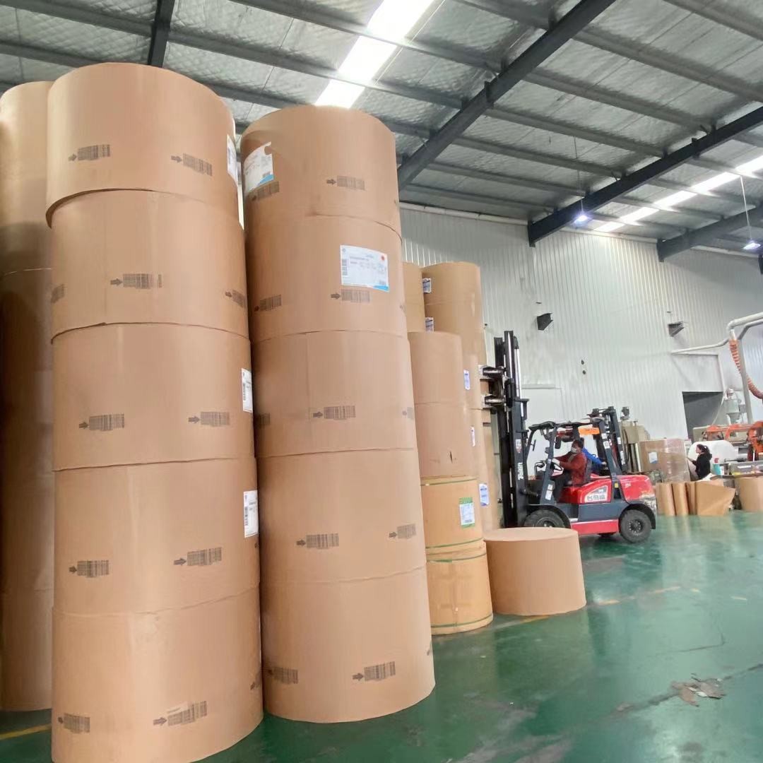 High Bulk White PE Coated Paper Roll 310gsm Kraft For Bowl Burst Resistance