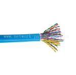10 Pair Cat3 Telephone Cable Coaxial PTFE Custom Category 3 Cable
