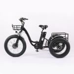 Wholesaler Adults 750w/500W 3 Wheel Electric Cargo Tricycle with Aluminium Alloy