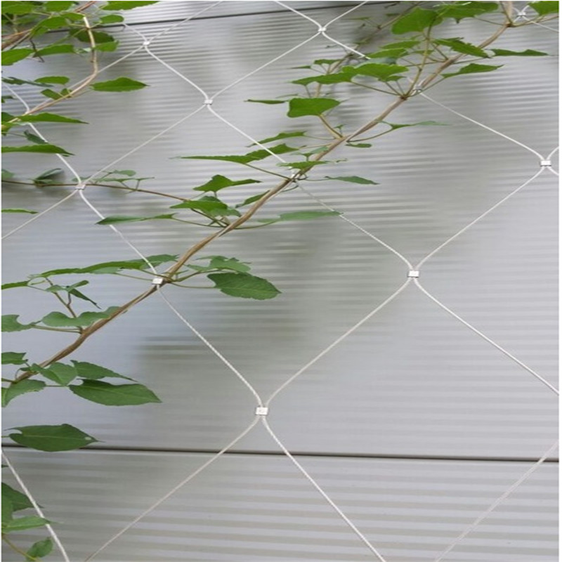 Customized stainess steel tensioned cable mesh greenscreen