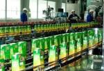 Lactic Acid Bacteria Dairy Production Line Yogurt Manufacturing Equipment /