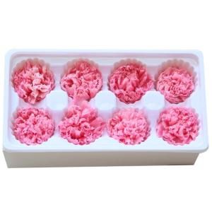 Wholesale Factory Price Preserved Flowers Real Preserved Carnation For Mother from china suppliers