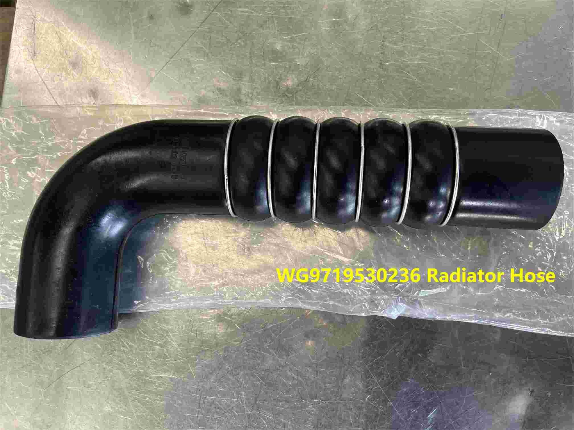 Radiator Hose WG9719530236 HOWO Truck Parts Radiator Pipe Radiator Inlet Hose Bottom Radiator Hose