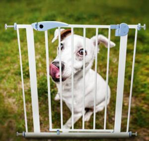 Wholesale Dog Fences child safety door guard pet dog large dogs isolated security gate from china suppliers