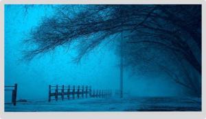 Wholesale 16.7m Lvds 1920x1080 Laptop Screen 30 Pin LCD 21.5 Inch Full Viewing Angle from china suppliers
